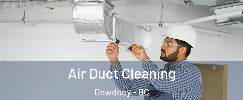  Air Duct Cleaning Dewdney - BC