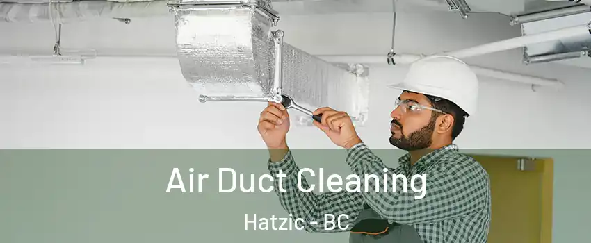  Air Duct Cleaning Hatzic - BC