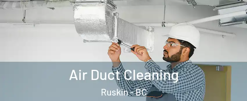  Air Duct Cleaning Ruskin - BC