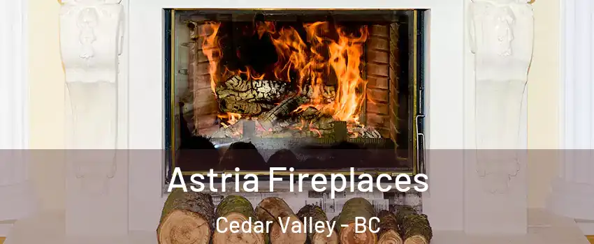 Astria Fireplaces Cedar Valley - BC