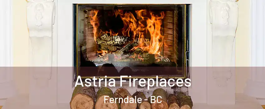  Astria Fireplaces Ferndale - BC