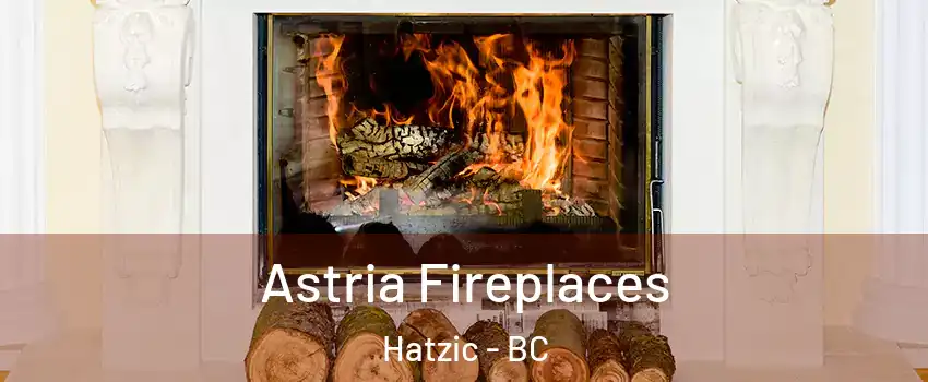  Astria Fireplaces Hatzic - BC