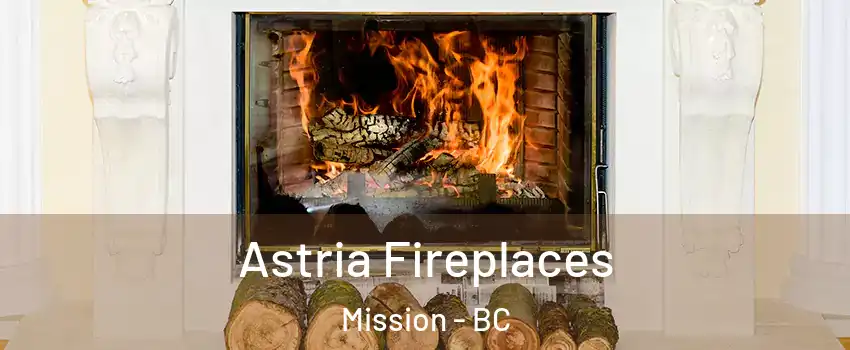  Astria Fireplaces Mission - BC