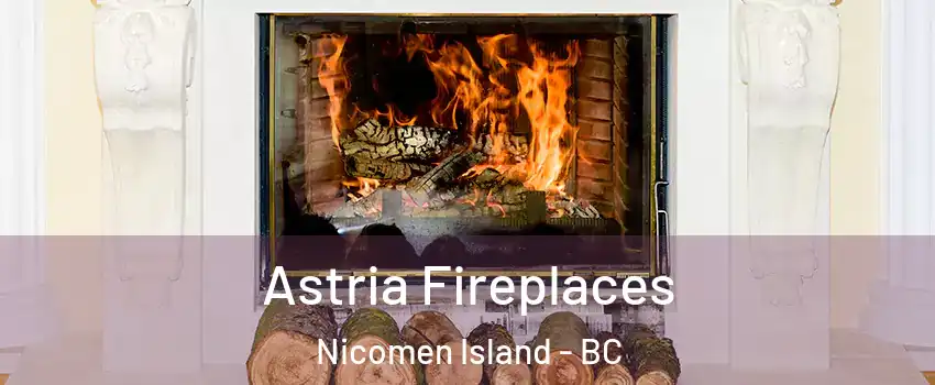  Astria Fireplaces Nicomen Island - BC