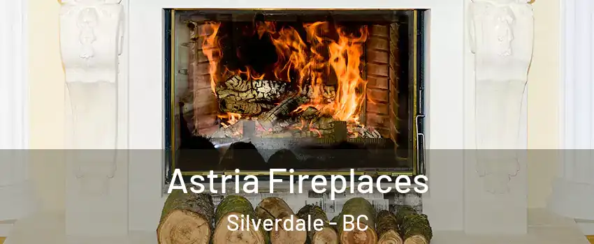  Astria Fireplaces Silverdale - BC
