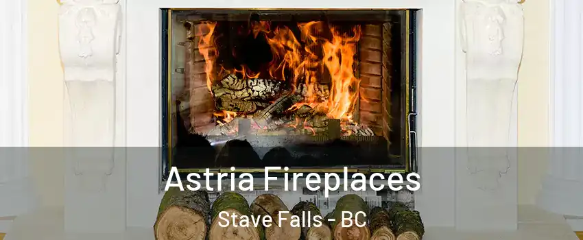  Astria Fireplaces Stave Falls - BC