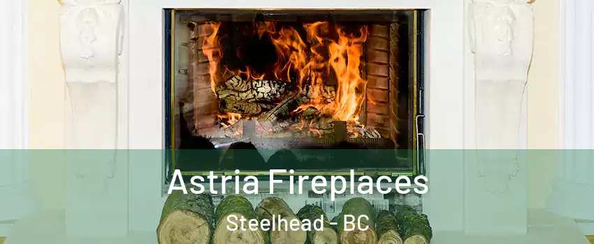  Astria Fireplaces Steelhead - BC