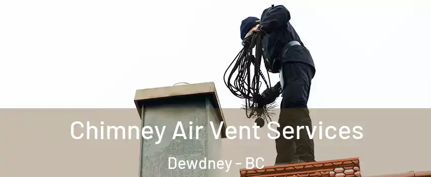 Chimney Air Vent Services Dewdney - BC