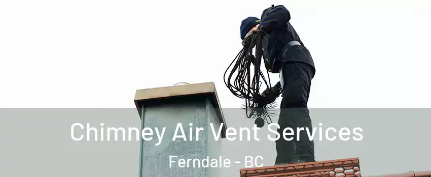  Chimney Air Vent Services Ferndale - BC