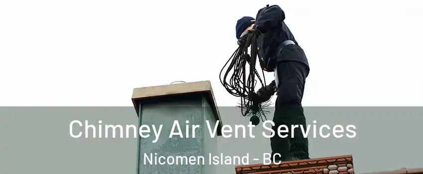  Chimney Air Vent Services Nicomen Island - BC
