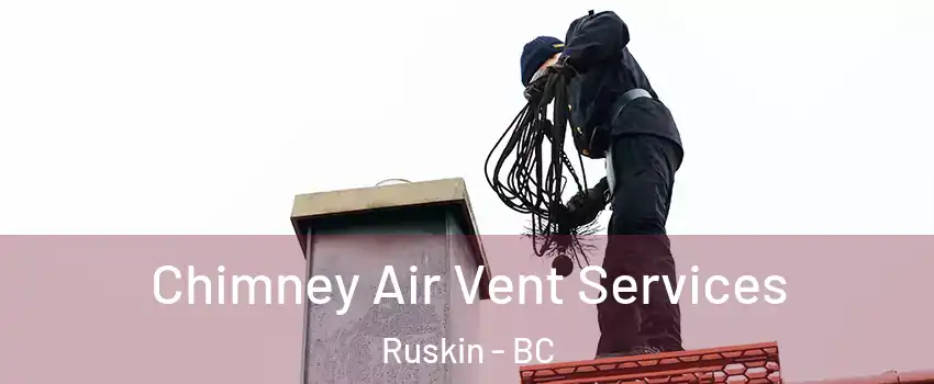  Chimney Air Vent Services Ruskin - BC