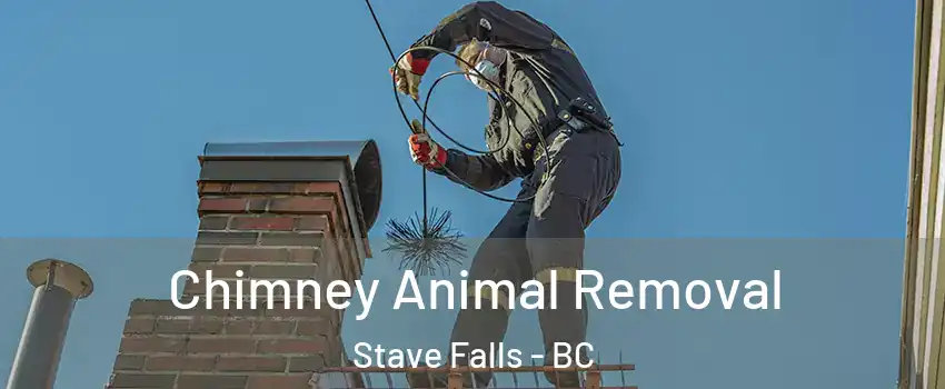 Chimney Animal Removal Stave Falls - BC