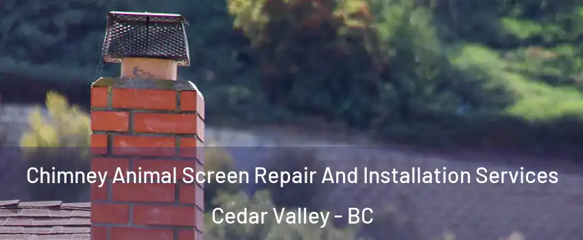  Chimney Animal Screen Repair And Installation Services Cedar Valley - BC