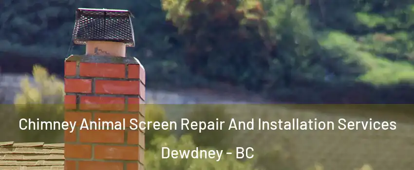  Chimney Animal Screen Repair And Installation Services Dewdney - BC
