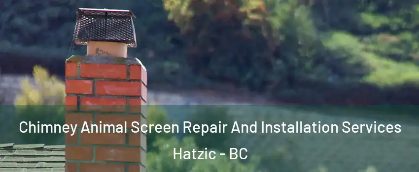 Chimney Animal Screen Repair And Installation Services Hatzic - BC