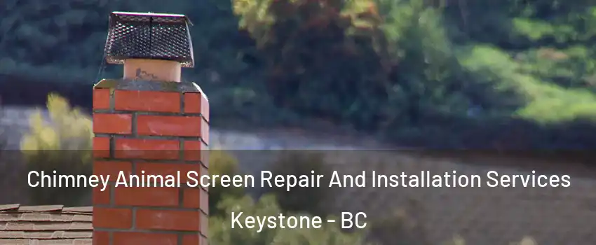  Chimney Animal Screen Repair And Installation Services Keystone - BC