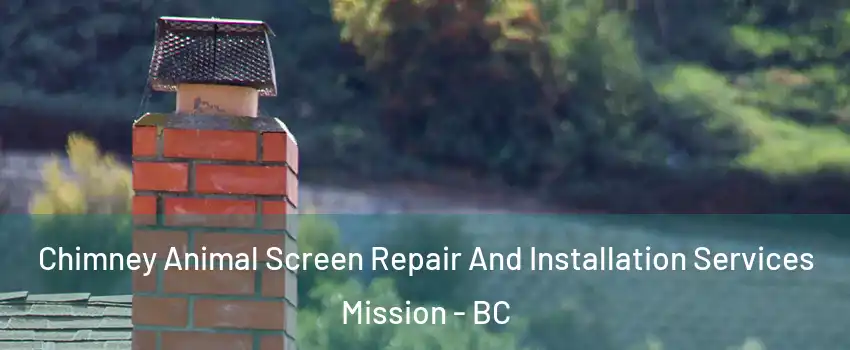  Chimney Animal Screen Repair And Installation Services Mission - BC