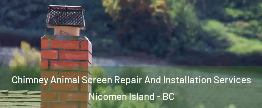  Chimney Animal Screen Repair And Installation Services Nicomen Island - BC