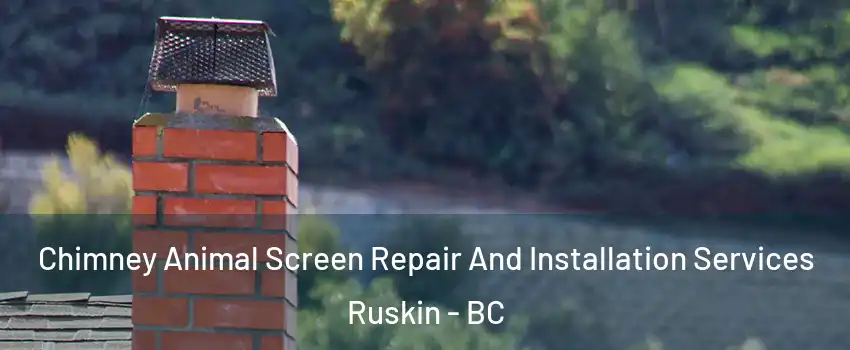  Chimney Animal Screen Repair And Installation Services Ruskin - BC