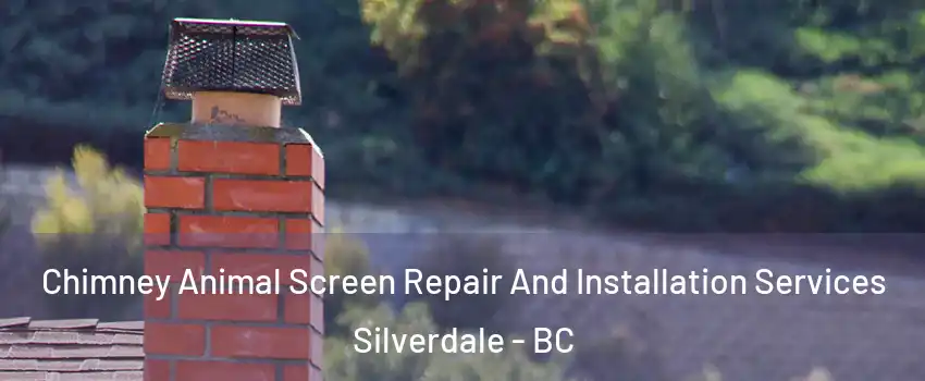  Chimney Animal Screen Repair And Installation Services Silverdale - BC