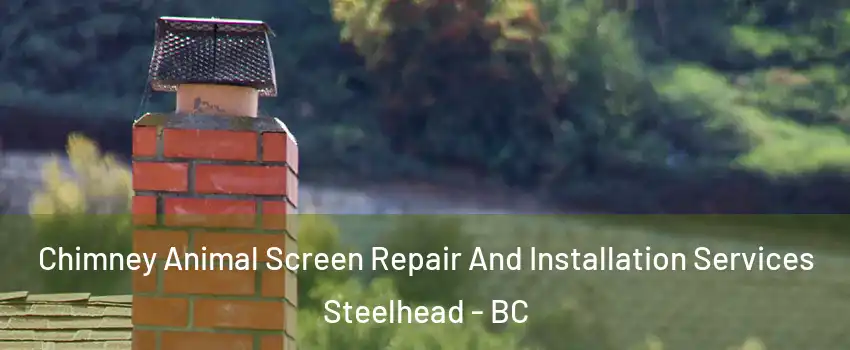  Chimney Animal Screen Repair And Installation Services Steelhead - BC