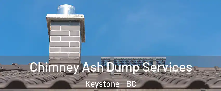  Chimney Ash Dump Services Keystone - BC