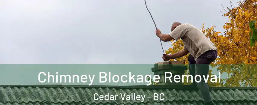  Chimney Blockage Removal Cedar Valley - BC