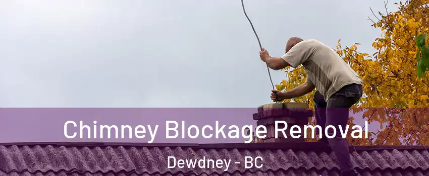  Chimney Blockage Removal Dewdney - BC