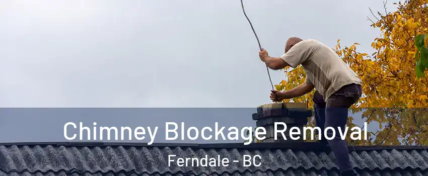  Chimney Blockage Removal Ferndale - BC