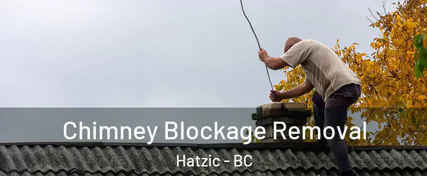  Chimney Blockage Removal Hatzic - BC