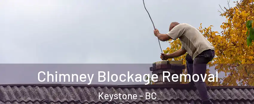  Chimney Blockage Removal Keystone - BC