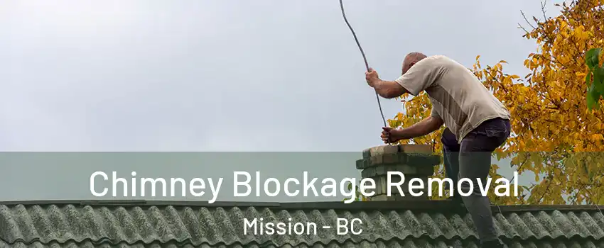  Chimney Blockage Removal Mission - BC