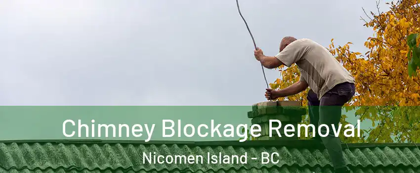  Chimney Blockage Removal Nicomen Island - BC