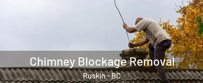  Chimney Blockage Removal Ruskin - BC