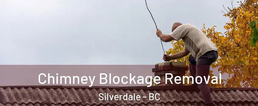  Chimney Blockage Removal Silverdale - BC