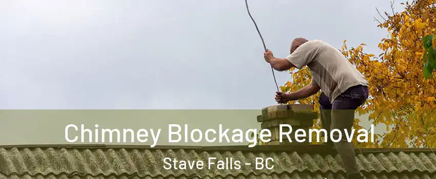  Chimney Blockage Removal Stave Falls - BC
