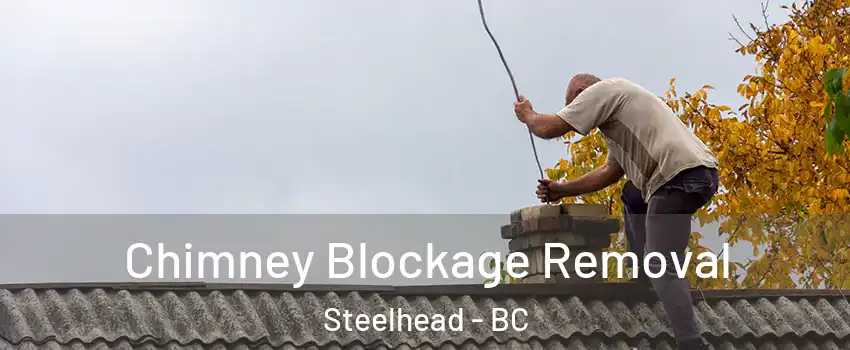  Chimney Blockage Removal Steelhead - BC