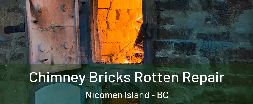  Chimney Bricks Rotten Repair Nicomen Island - BC