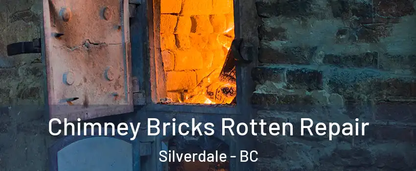  Chimney Bricks Rotten Repair Silverdale - BC