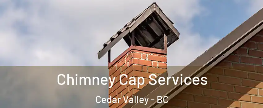  Chimney Cap Services Cedar Valley - BC