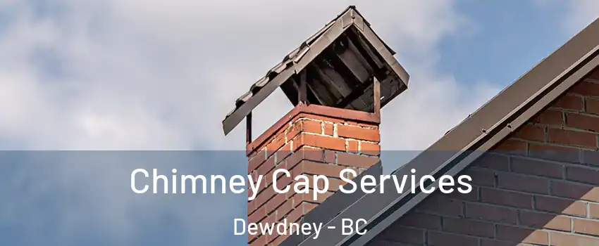  Chimney Cap Services Dewdney - BC