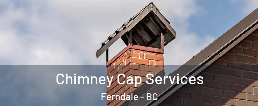  Chimney Cap Services Ferndale - BC