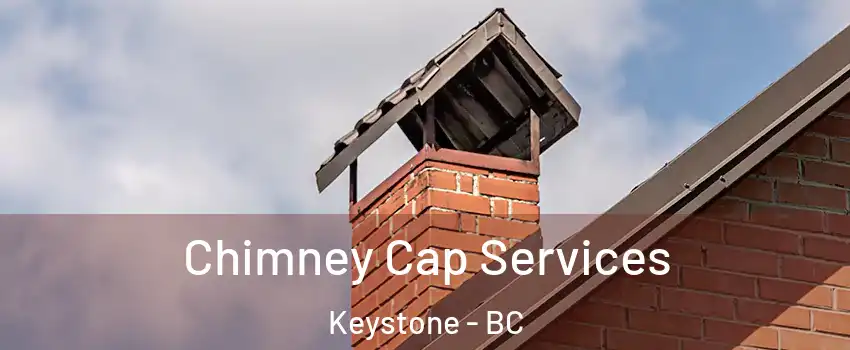  Chimney Cap Services Keystone - BC