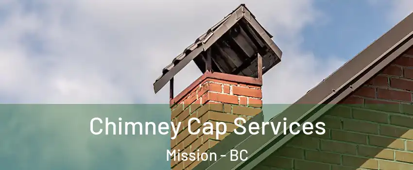 Chimney Cap Services Mission - BC
