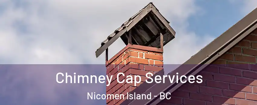  Chimney Cap Services Nicomen Island - BC