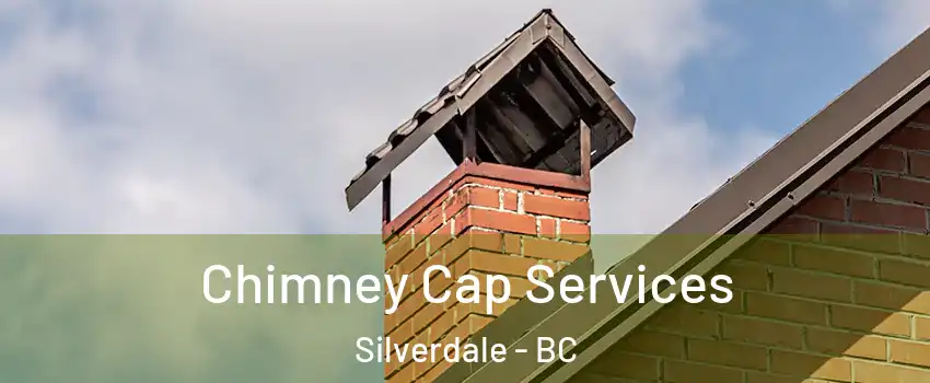  Chimney Cap Services Silverdale - BC