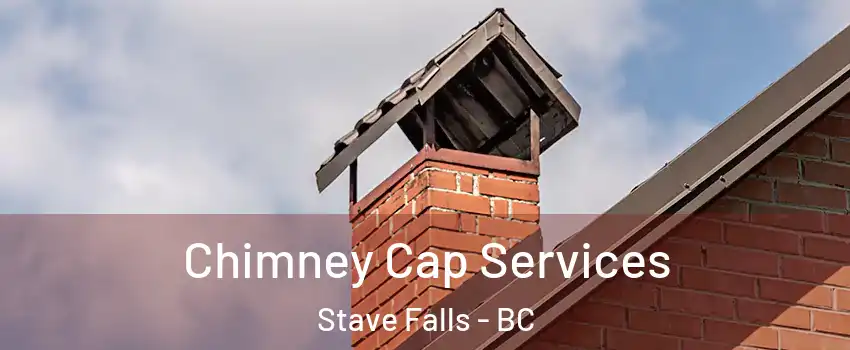  Chimney Cap Services Stave Falls - BC