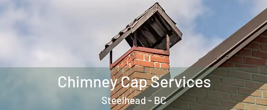  Chimney Cap Services Steelhead - BC