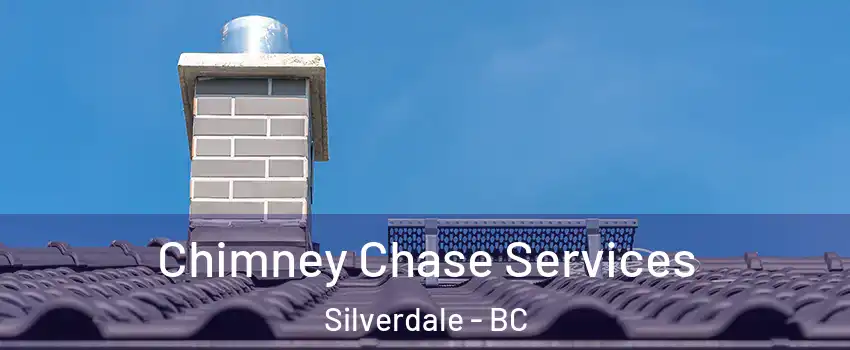  Chimney Chase Services Silverdale - BC