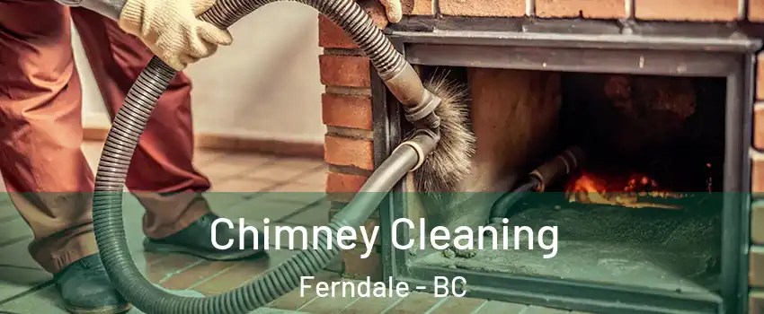  Chimney Cleaning Ferndale - BC